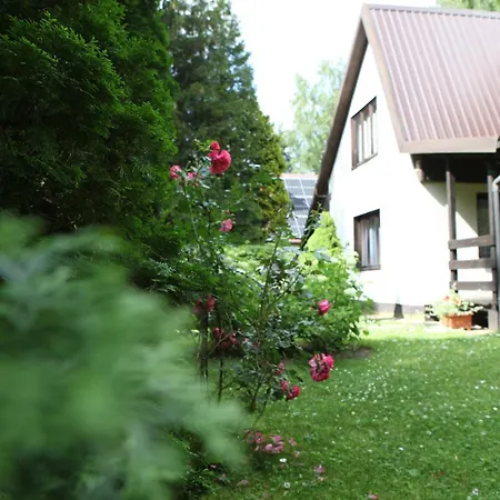 Mazury U Basi
